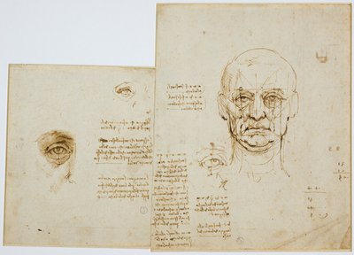 Studies van verhoudingen van gezicht en oog (met notities), c. 1489-90 door Leonardo da Vinci